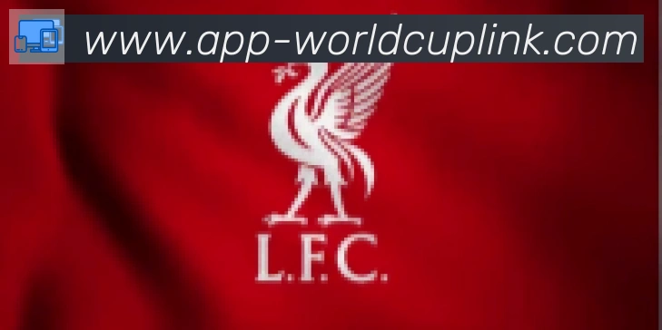 2026世界杯APP下载合作伙伴