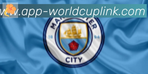 2026世界杯APP下载合作伙伴